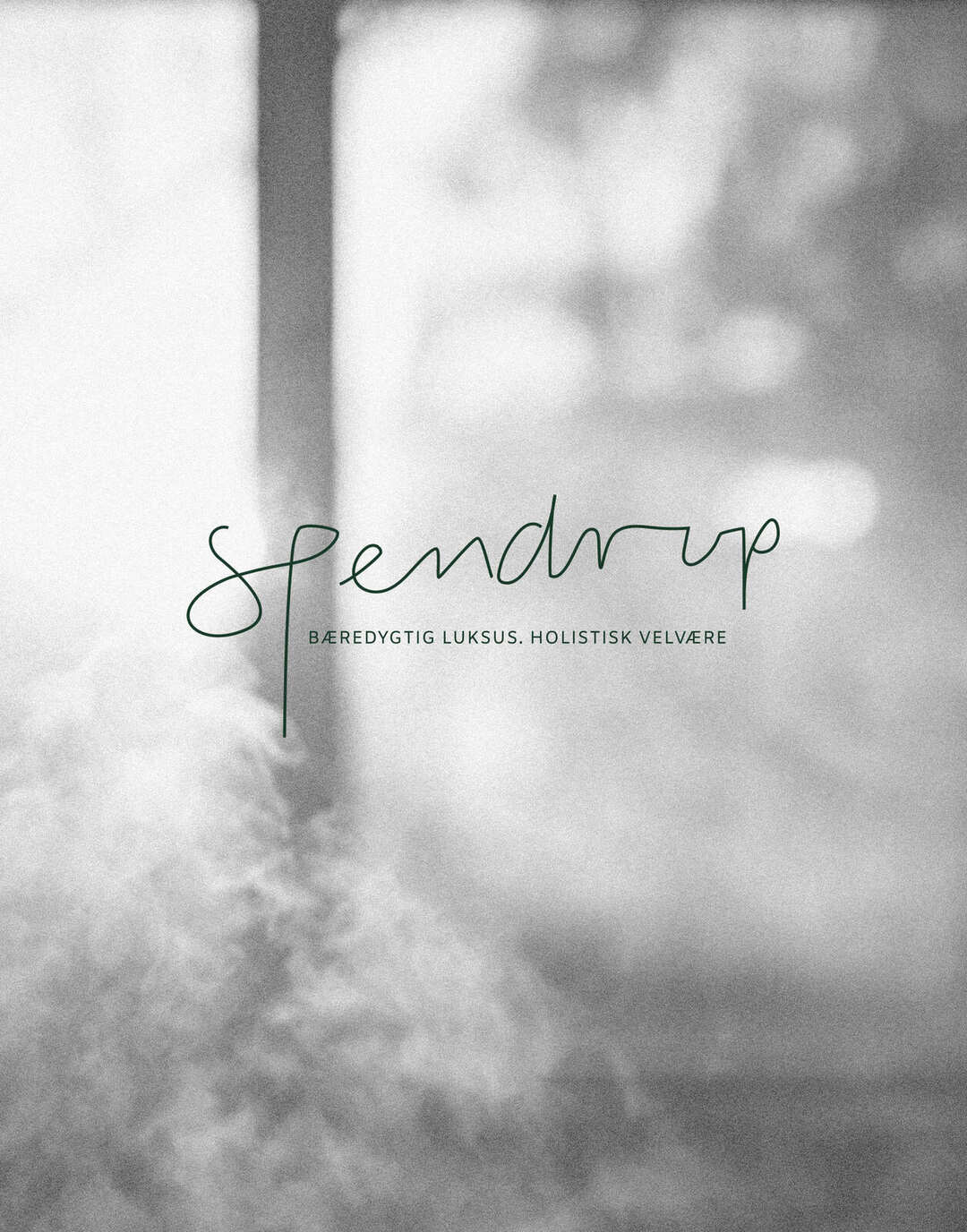 Slow Beauty by Spendrup – udvalgt visuelt arbejde 1